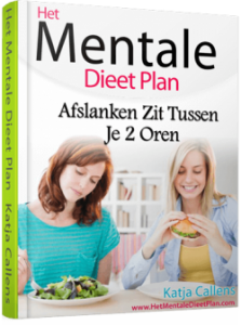 mentale dieet plan review